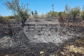 Монтана - пожар