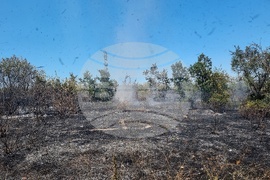 Монтана - пожар