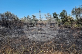 Монтана - пожар