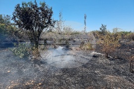 Монтана - пожар