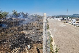 Монтана - пожар