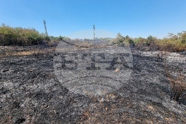 Монтана - пожар