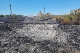 Монтана - пожар