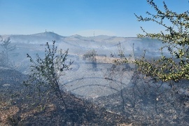 Монтана - пожар