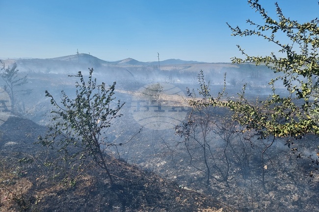 Овладян е горският пожар в района на Текирдаг, който предизвика евакуирането на над 1300 души 