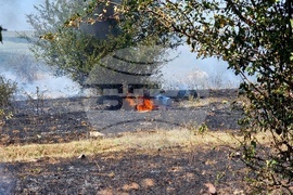 Монтана - пожар