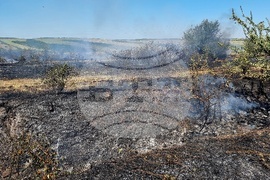 Монтана - пожар