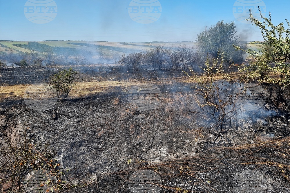 Монтана - пожар