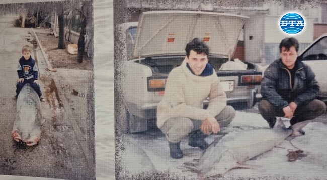 Най-голямата риба, уловена в Дунав досега, е 393-килограмова моруна, хваната край село Връв преди близо 80 години