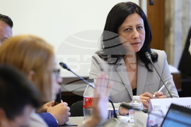 Парламент - Временна комисия - заседание