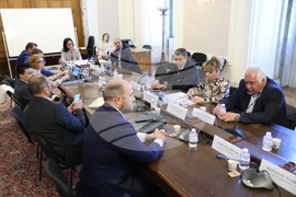 Парламент - Временна комисия - заседание