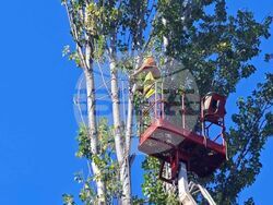 Снимка: Община Плевен