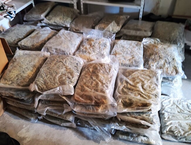 МВР: Трима задържани при операция на ГДБОП срещу група за трафик на наркотици