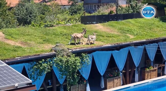 Предприемач съчета природата, вкусната храна и зелените решения в комплекс за отдих в кюстендилското село Слокощица
