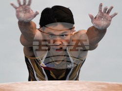 Paris Olympics Artistic Gymnastics