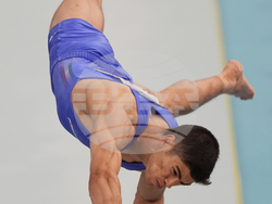 Paris Olympics Artistic Gymnastics