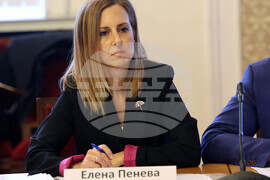 Народно събрание - детска болница - консултативна среща - Елена Пенева