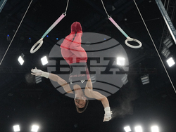 Paris Olympics Artistic Gymnastics