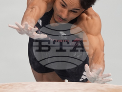 Paris Olympics Artistic Gymnastics