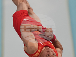 Paris Olympics Artistic Gymnastics