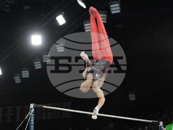 Paris Olympics Artistic Gymnastics