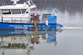 Видин - Никулден