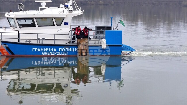 Видин - Никулден