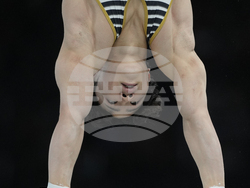 Paris Olympics Artistic Gymnastics