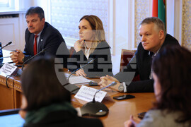 Народно събрание - детска болница - консултативна среща