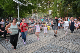 Вършец - празник - концерт