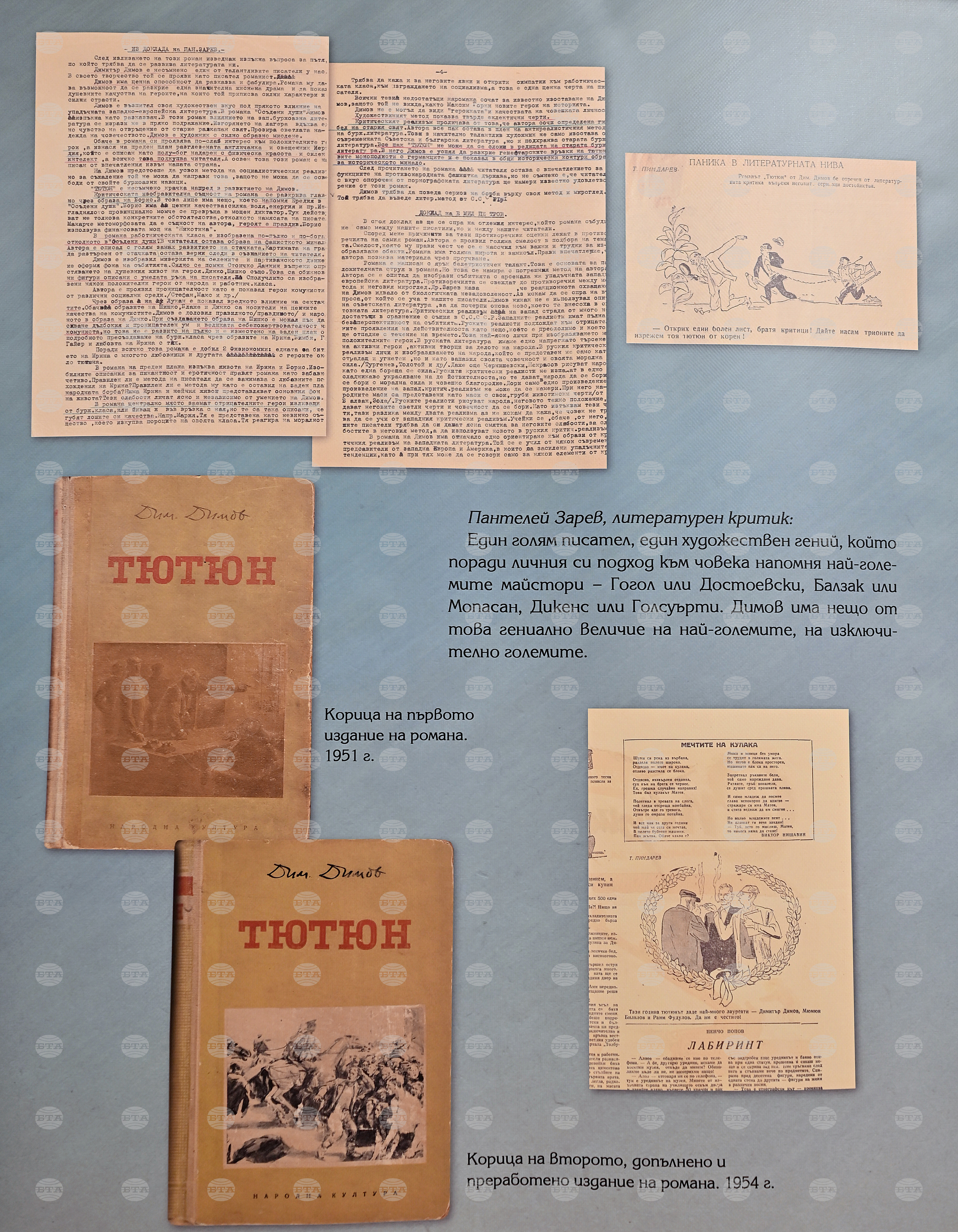 Вършец - Димитър Димов - изложба