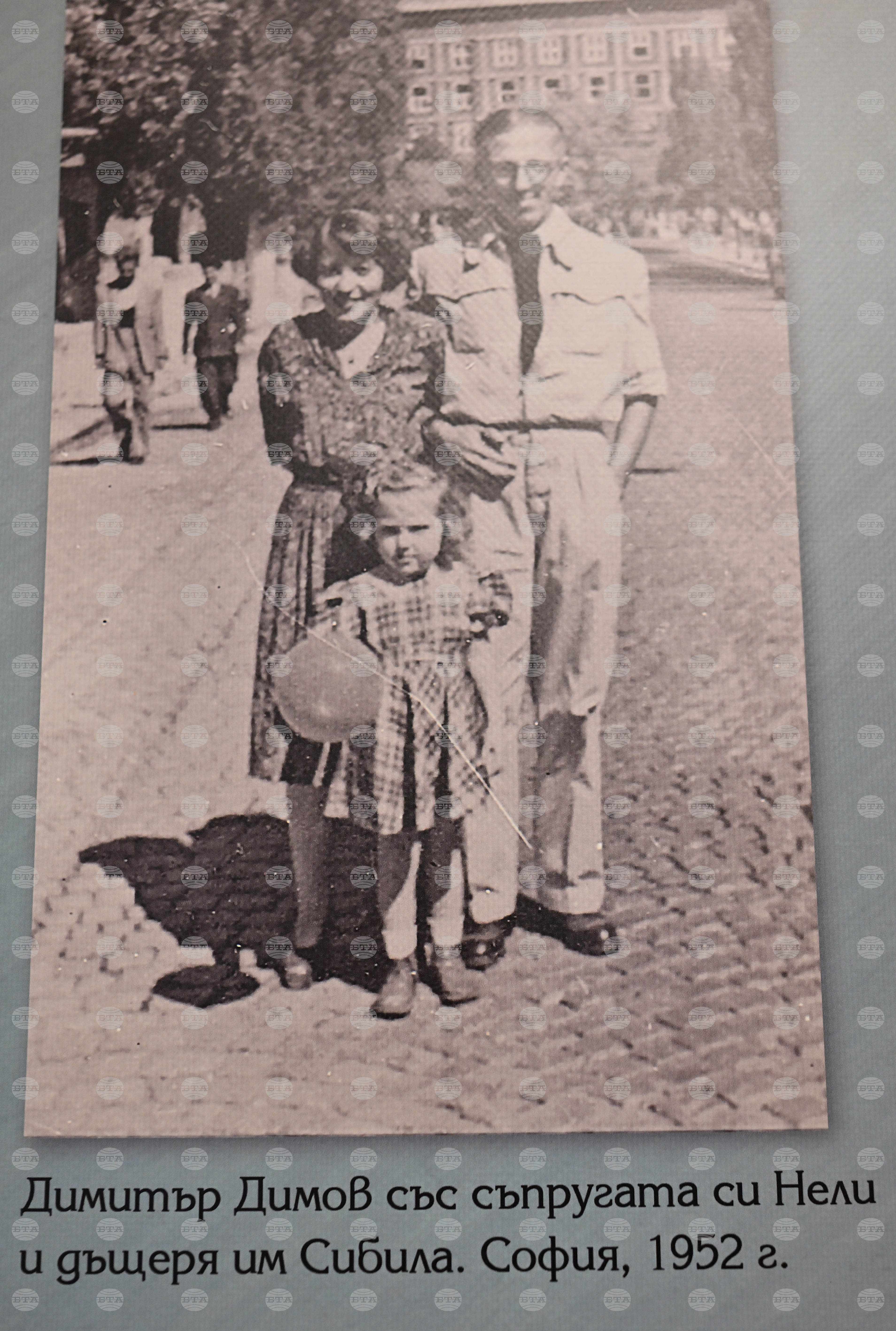 Вършец - Димитър Димов - изложба