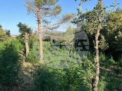 Снимка: МВР