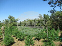 Снимка: МВР