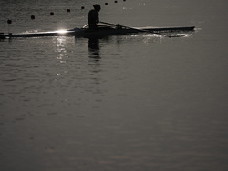 Paris Olympics Rowing