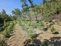 Снимка: Апелативна прокуратура – София