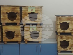 Снимка: Община Русе