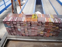 Снимка: Апелативна прокуратура – София