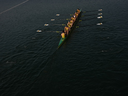 Paris Olympics Rowing