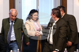Парламент - Временна комисия - дърва - цени