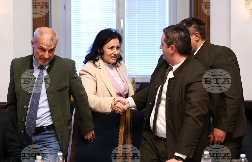 Парламент - Временна комисия - дърва - цени