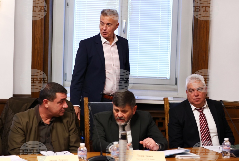 Парламент - Временна комисия - дърва - цени