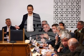 Парламент - Временна комисия - дърва - цени