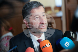 Народно събрание - Временна комисия - Мартин Божанов