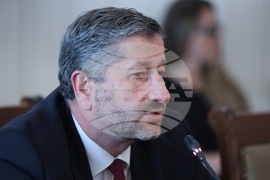 Народно събрание - Временна комисия - Мартин Божанов