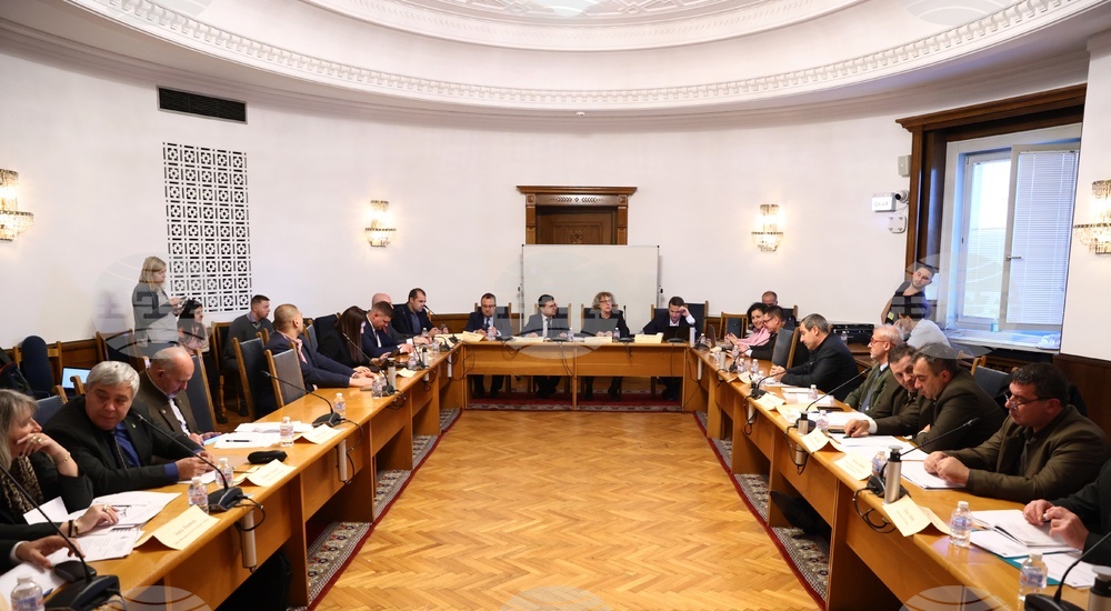 Парламент - Временна комисия - дърва - цени