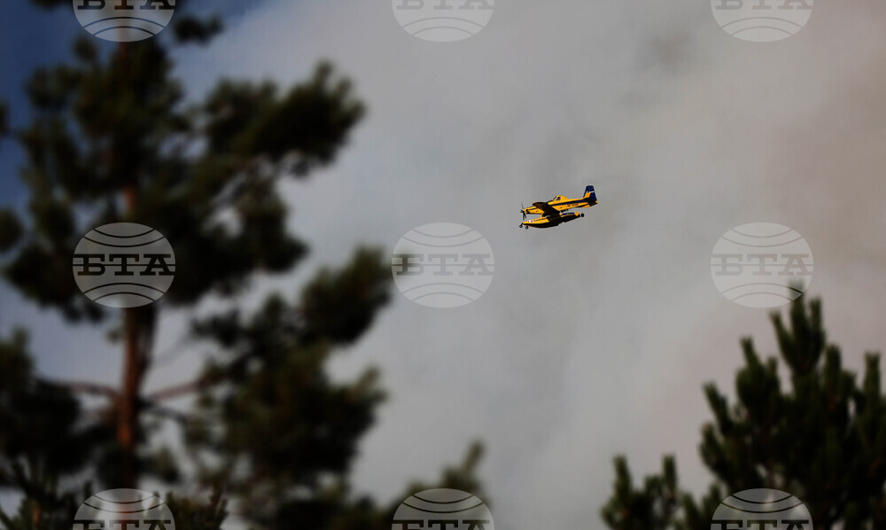 Горски пожари продължават да бушуват в пет турски окръга, евакуирани са множество населени места 