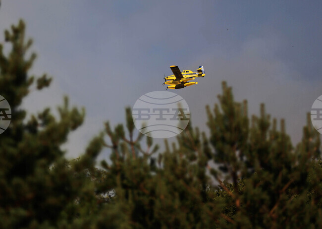 Трима души са ранени, а 2000 са евакуирани заради горски пожар в Албания