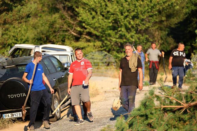 Нов мост в местността Старо Осеново изградиха служители на Държавно горско стопанство Симитли