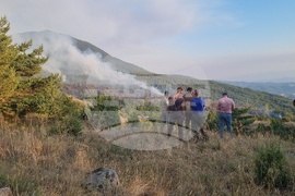 Област Благоевград - горски пожари - село Сенокос